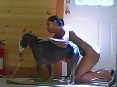 first time blowjob for animal