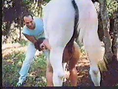 retro animal sex with horse